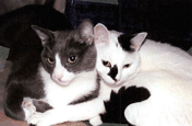 Lily & Simon